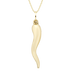 Gold Horn Charm Necklace