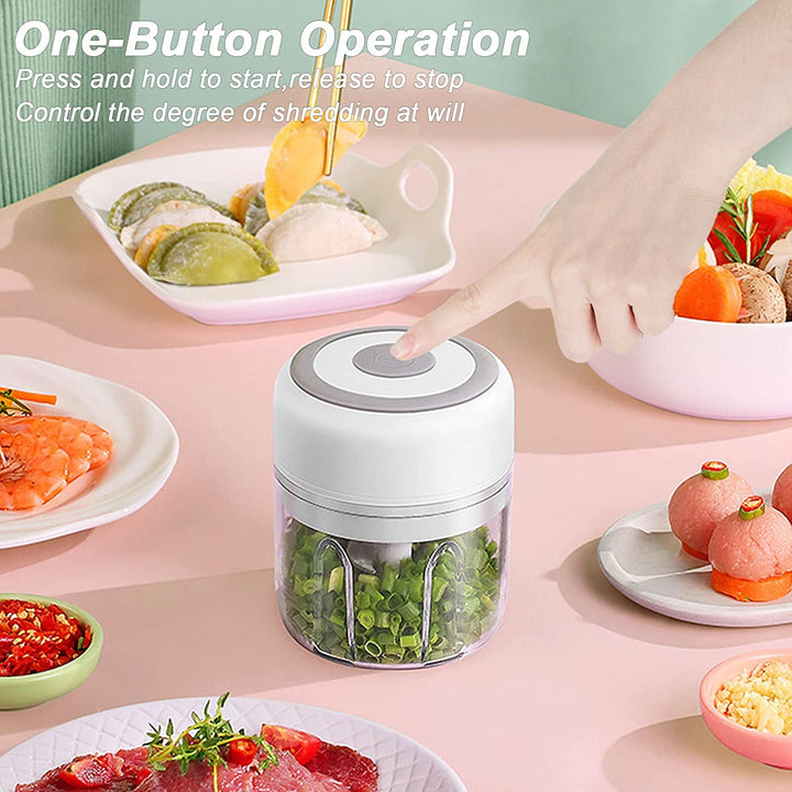 Mini Portable Food Processor and Vegetable Chopper