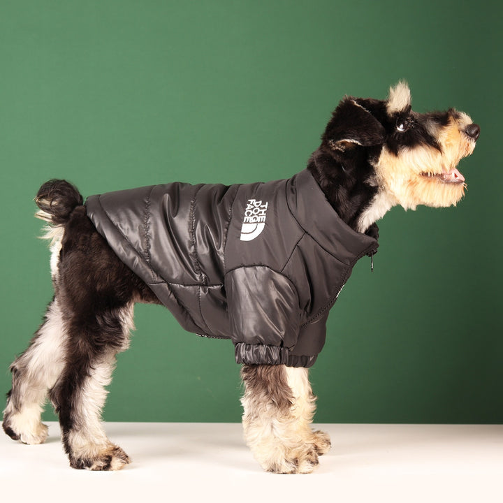 Ropa cálida para perros de invierno a prueba de viento